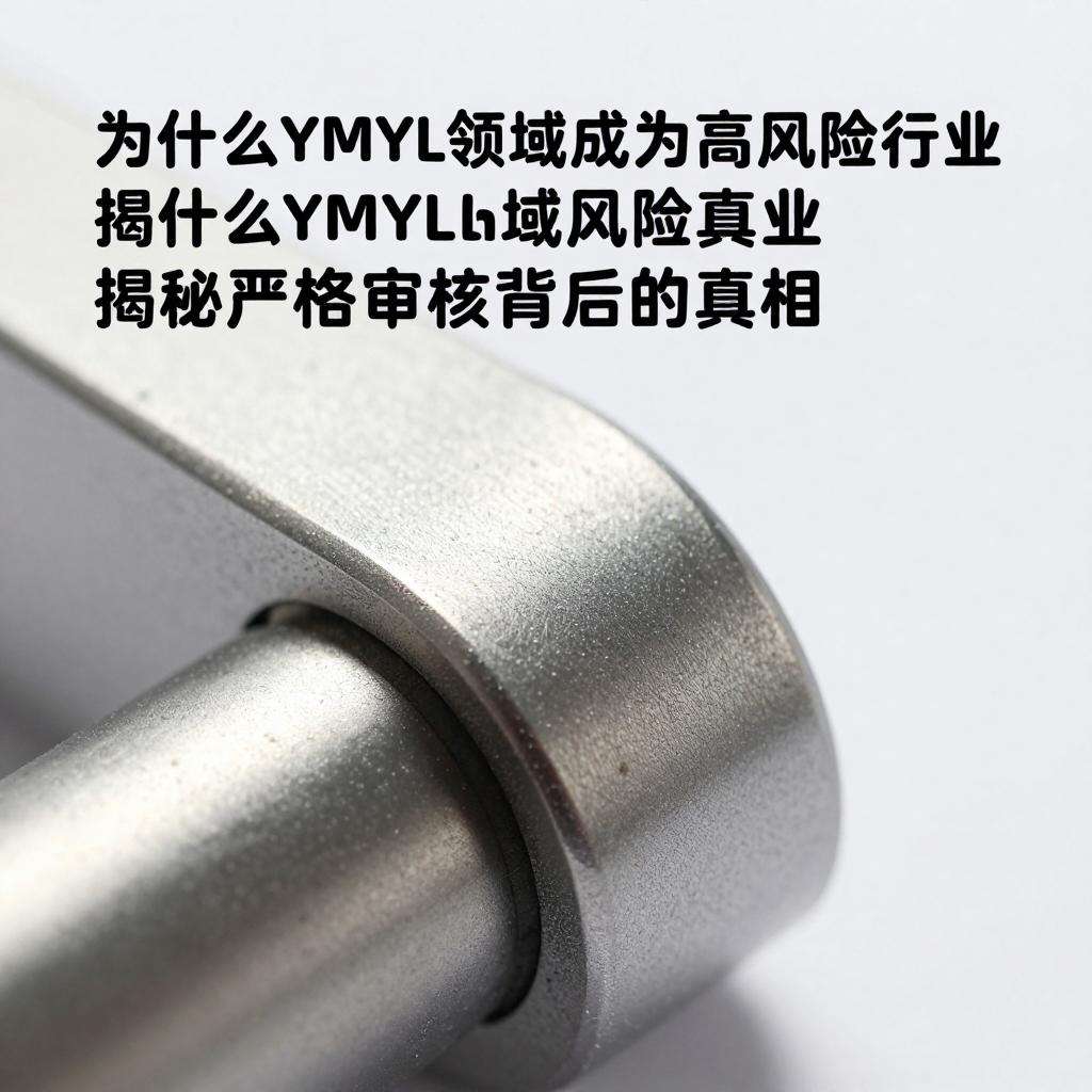 为什么YMYL领域成为高风险行业?揭秘严格审核背后的真相 为什么YMYL领域成为高风险行业?揭秘严格审核背后的真相第二张图