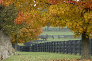 网站建设有哪些免费的模板推荐？