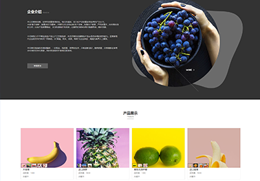 适合pc端网页模板