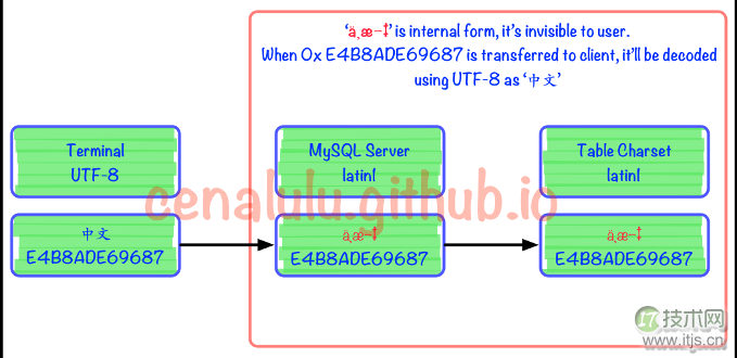 10分钟学会理解和解决MySQL乱码问题(图6) flow4