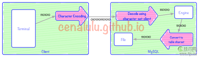 10分钟学会理解和解决MySQL乱码问题(图1) mysqlflow