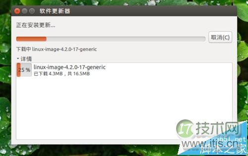 Ubuntu系统怎么手动进行更新升级?(图8) Ubuntu系统怎么手动进行更新升级?(图8)