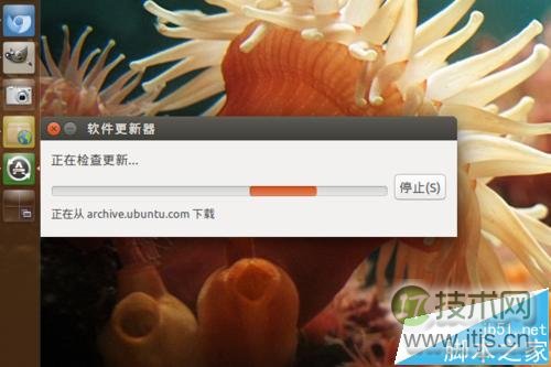 Ubuntu系统怎么手动进行更新升级?(图4) Ubuntu系统怎么手动进行更新升级?(图4)