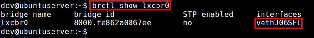 如何在Ubuntu上创建及管理LXC容器(图7)