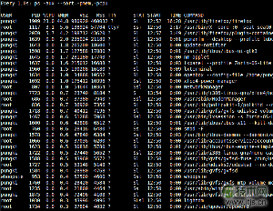 10个重要的Linux ps命令实战(图16) 组合 ps 和 watch