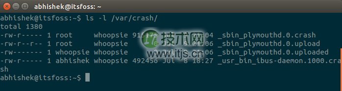 如何修复 Ubuntu 中检测到系统程序错误的问题(图5) 如何修复 ubuntu 中检测到系统程序错误的问题