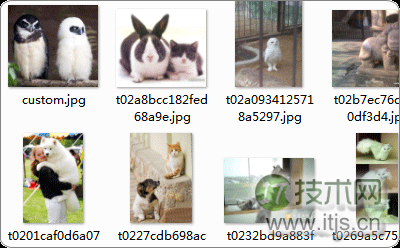windows_images_thumbnail windows_images_thumbnail