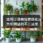 如何让语音搜索优化成为你网站的不二法宝（图2）