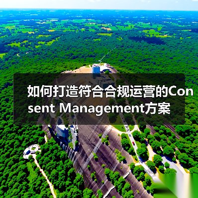 如何打造符合合规运营的Consent Management方案（图1）