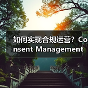 如何实现合规运营？Consent Management的重要作用详解（图4）