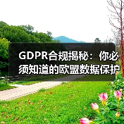 GDPR合规揭秘：你必须知道的欧盟数据保护关键策略（图2）