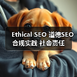 Ethical SEO 道德SEO 合规实践 社会责任（图2）