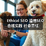 Ethical SEO 道德SEO 合规实践 社会责任（图3）