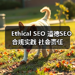 Ethical SEO 道德SEO 合规实践 社会责任（图4）