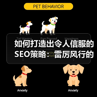 如何打造出令人信服的SEO策略：雷厉风行的实操秘籍（图2）