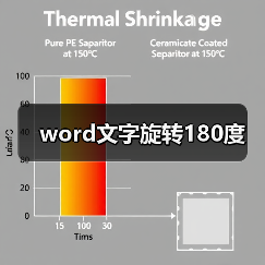 word文字旋转180度（图3）