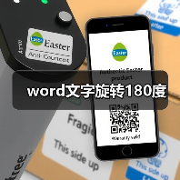 word文字旋转180度（图4）