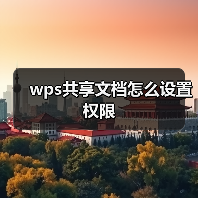 wps共享文档怎么设置权限（图2）