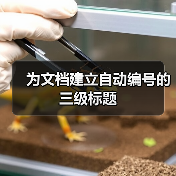 为文档建立自动编号的三级标题(图4) 为文档建立自动编号的三级标题(图4)