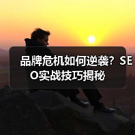 品牌危机如何逆袭?SEO实战技巧揭秘(图2) 品牌危机如何逆袭?SEO实战技巧揭秘(图2)