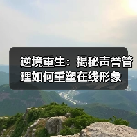 逆境重生:揭秘声誉管理如何重塑在线形象(图4) 逆境重生:揭秘声誉管理如何重塑在线形象(图4)